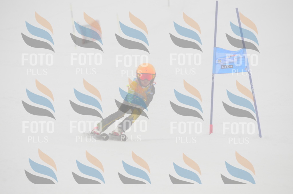 C0888 | holidayphoto