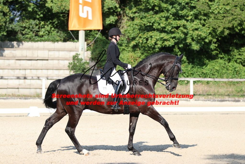 IMG_8833 | lmwpictures - Realisiert mit Pictrs.com