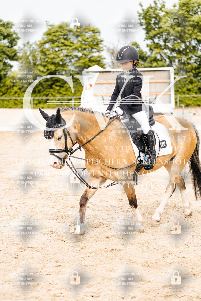 CK904504 | Turnierfotografie Pferdefotografie Trier Rheinland-Pfalz Pferdesport Reitsport Tierfotografie Sportfotografie Pferdevideo Pferdevideografie Equestrianvideography equestrianphotography  - Realisiert mit Pictrs.com