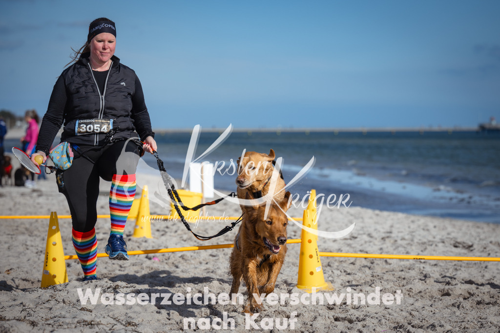 1342_ZZ92899 | kk-dogfotos