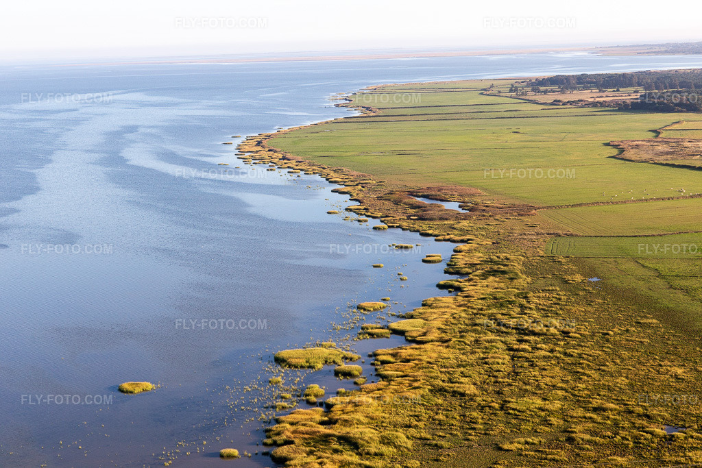 Aerial view: Wadden Sea National Park in Fanø in the state South Denmark, Denmark.Photo: IMG_118856.jpg taken on 09/21/2019 by Werner Riehm/FLY-FOTO.comResolution of the original: 5472 x 3648 px