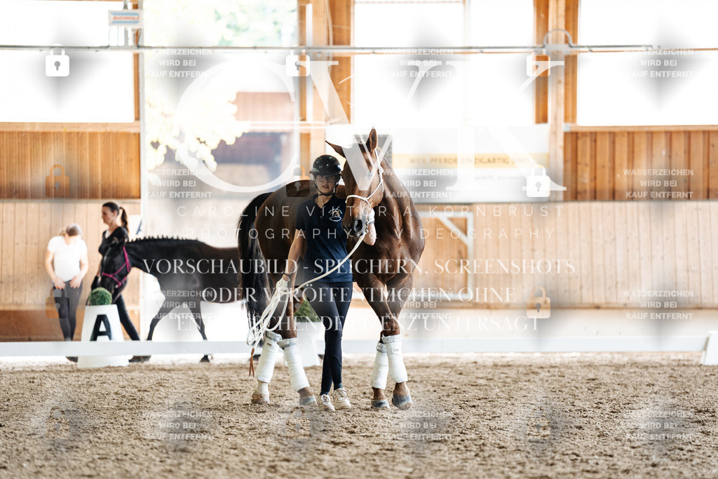 CK908246 | Turnierfotografie Pferdefotografie Trier Rheinland-Pfalz Pferdesport Reitsport Tierfotografie Sportfotografie Pferdevideo Pferdevideografie Equestrianvideography equestrianphotography  - Realisiert mit Pictrs.com