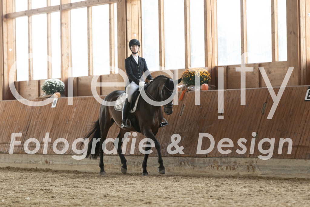 IMG_3351 | Creatify Fotografie