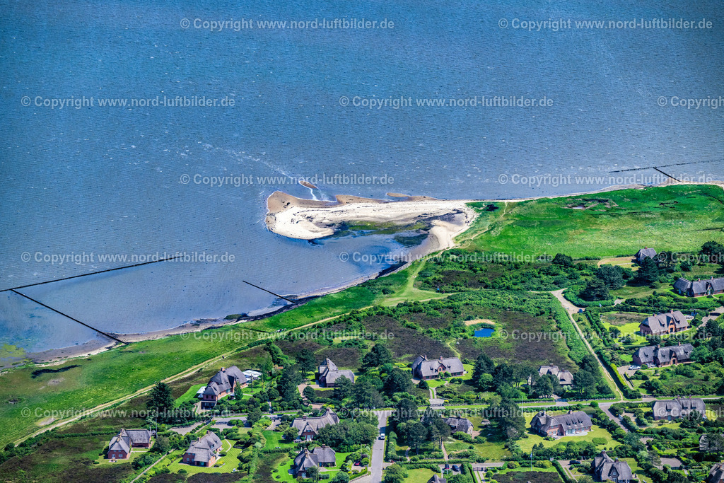 Sylt_Kampen_Wattseite_Schlauchalgenteppich_ELS_5246130625 | KAMPEN (SYLT) 13.06.2025 Wohngebiet einer Einfamilienhaus- Siedlung Hobookenweg in Kampen (Sylt) auf der Insel Sylt im Bundesland Schleswig-Holstein, Deutschland. // Single-family residential area of settlement Hobookenweg in Kampen (Sylt) at the island Sylt in the state Schleswig-Holstein, Germany. Foto: Martin Elsen