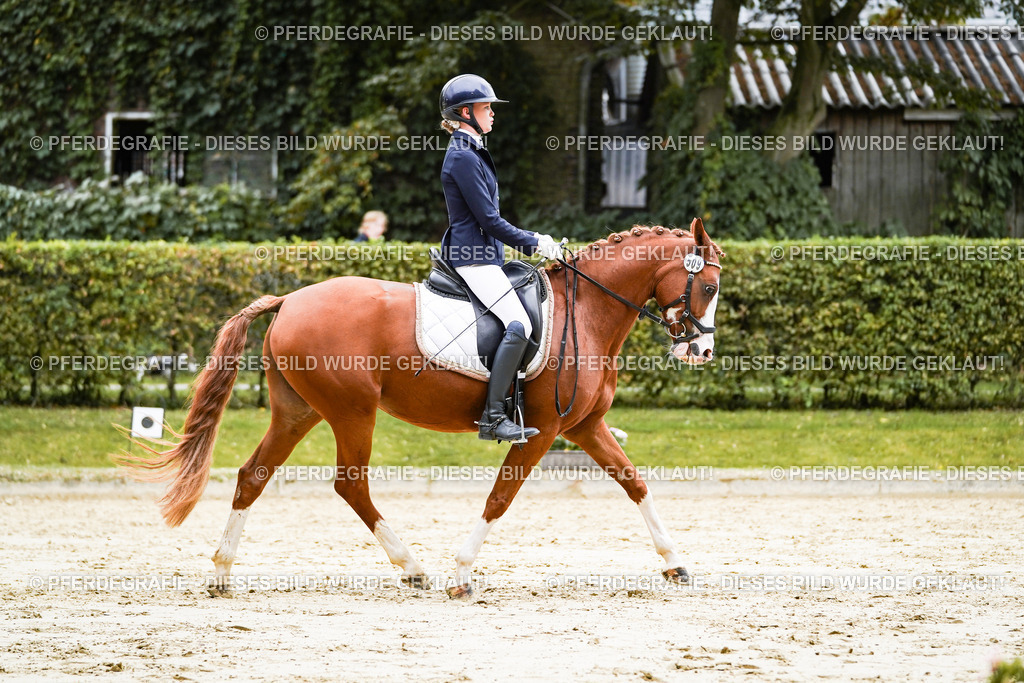 DSC07615 | Pferdegrafie