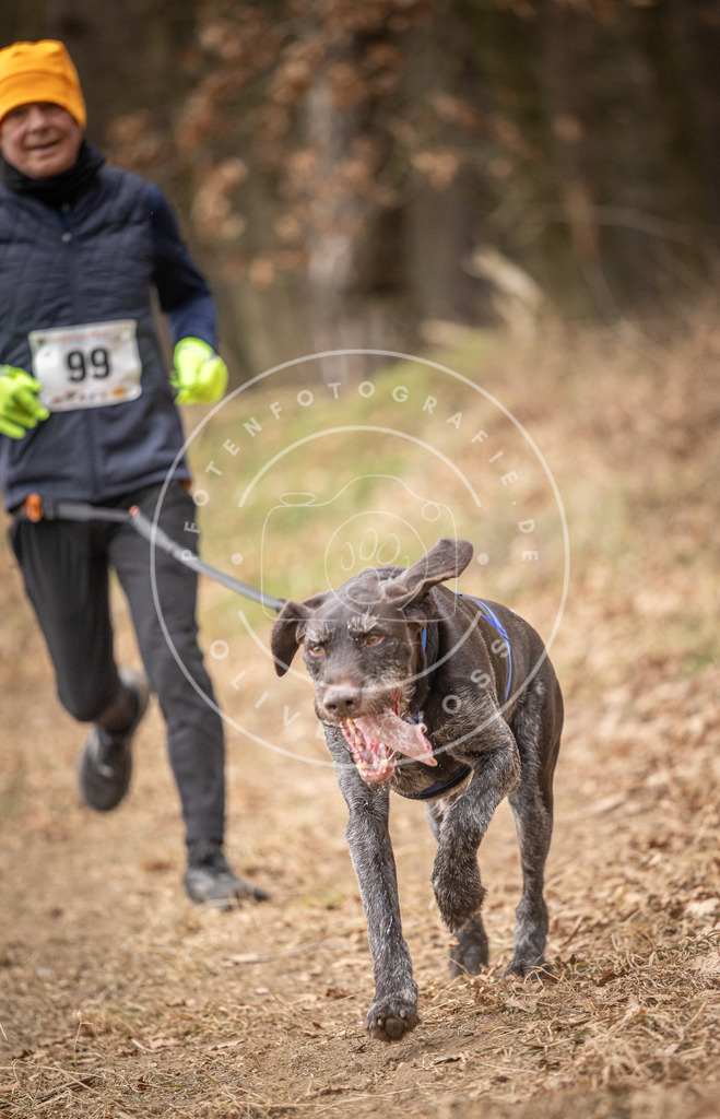 Pfotenfotografie_DV3A5021 | Hundefotografie, Tierfotograf, Pfotenfotografie, Fotoshooting Hund, Hunde Portrait, Hundesport, Hundeportraits, Heideshooting, Hunde, Sportfotograf, Hundefotograf, Turnierhundsport, THS,  - Realisiert mit Pictrs.com