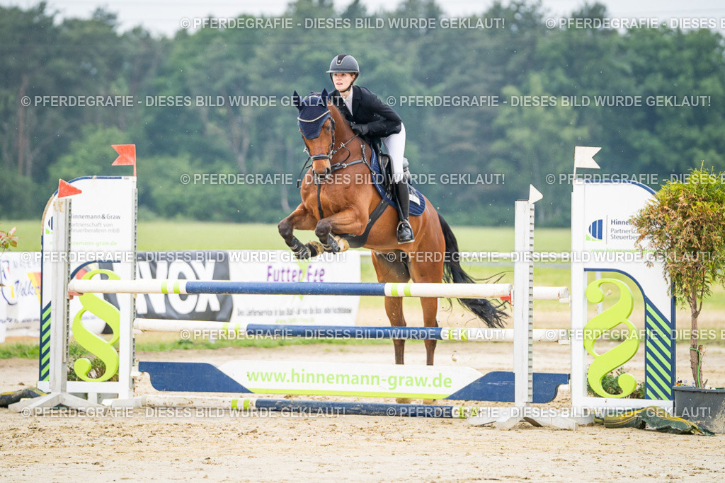 DSC09624 | Pferdegrafie