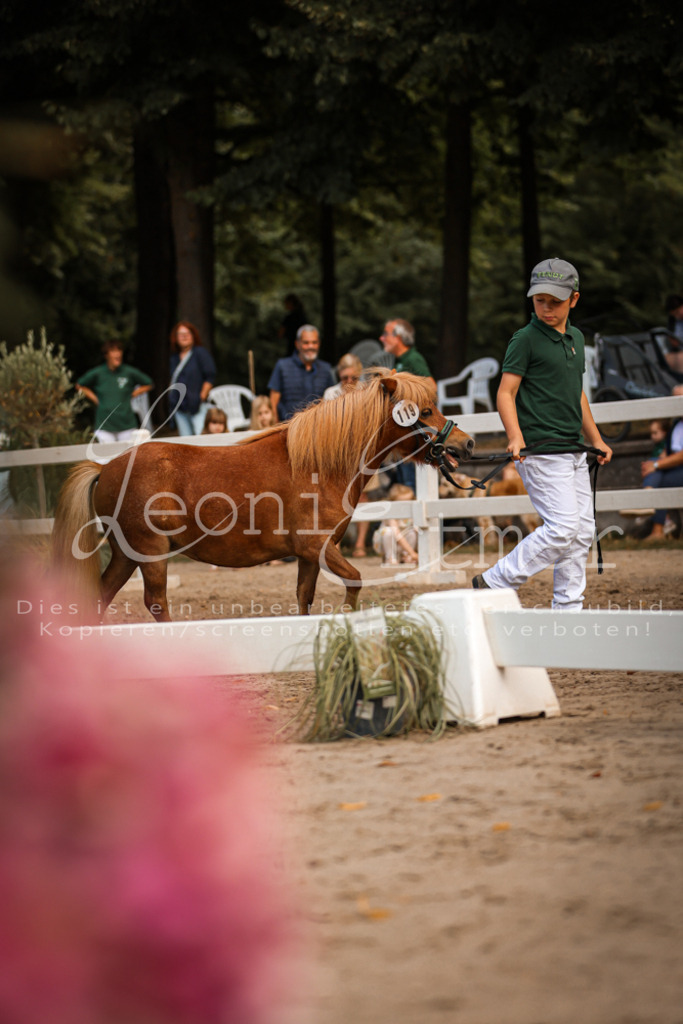 01.So00151 | Leoni Ertmer Photography - Realisiert mit Pictrs.com