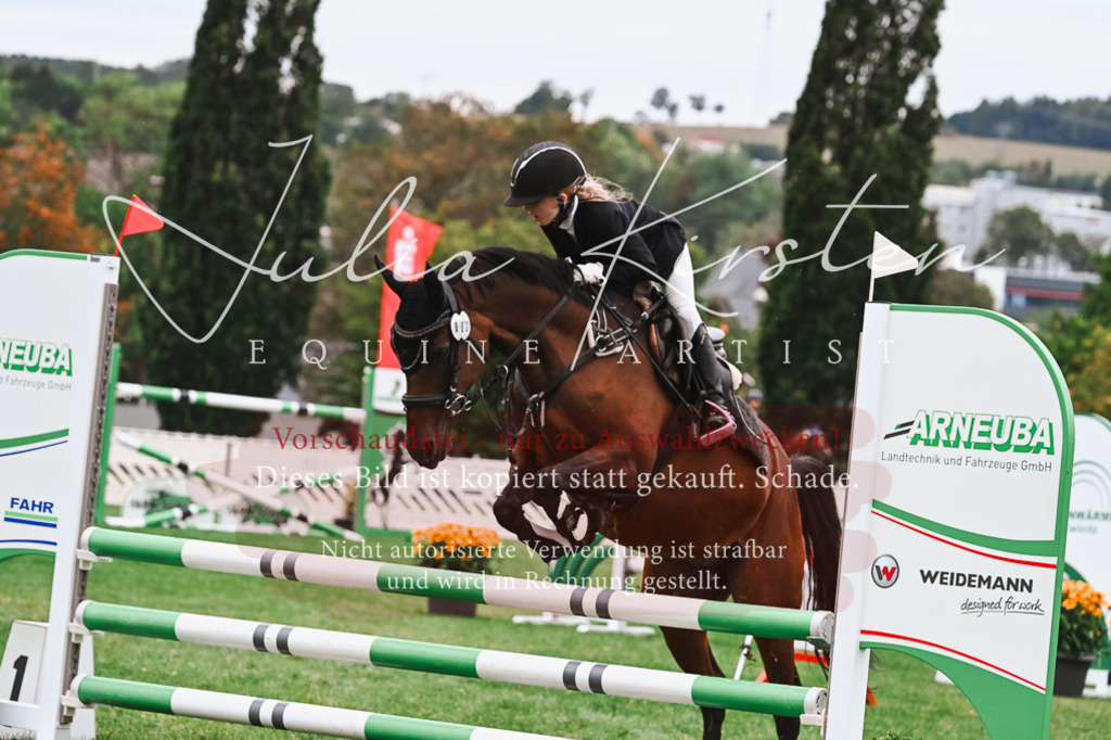 DSC_6273 | Pferde- und Turnierfotografie in Westsachsen. Pferdeportraits, Auftragszeichnungen und intuitive Kunst.