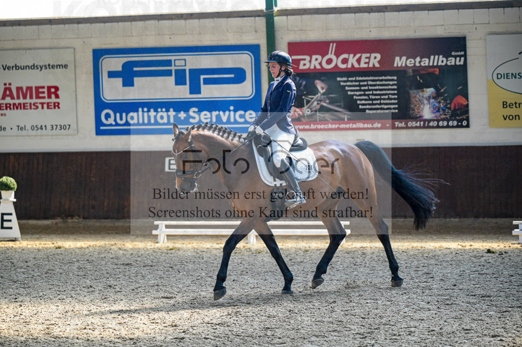 Reitturnier Voxtrup | Entdecke hochwertige Reitturnierfotos von Foto Oger. Professionell, emotional und authentisch – jetzt Lieblingsmomente im Shop bestellen.Deutschlandweite Turnierfotografie. - Realisiert mit Pictrs.com