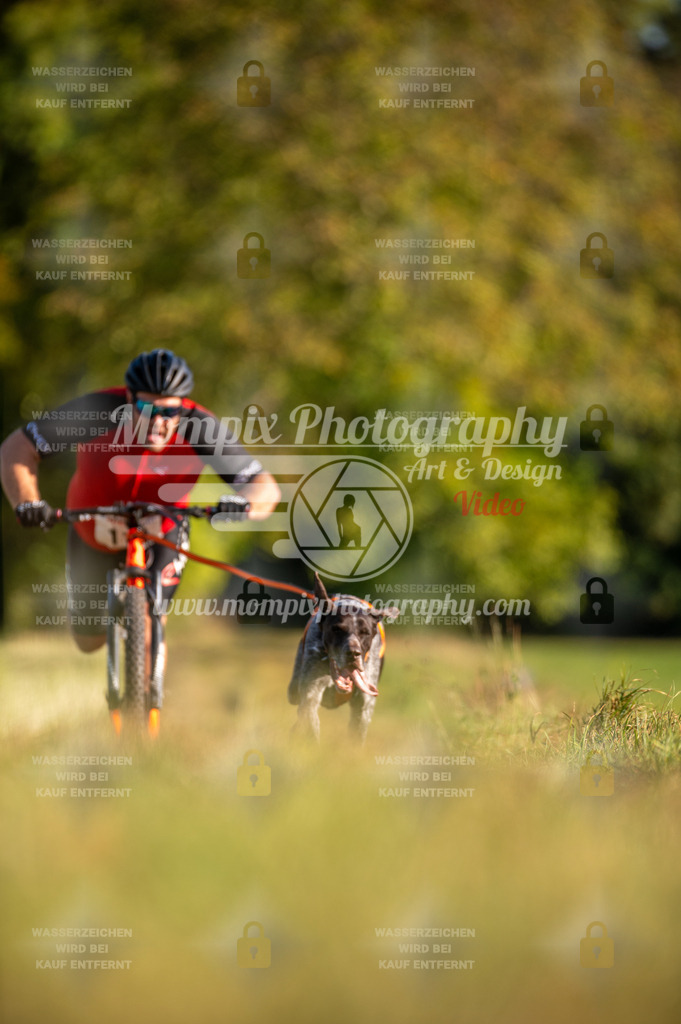 CDLBDB_15_10_2023_Dimanche-296 | PayLife