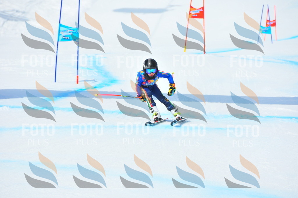 DSC_3181 | holidayphoto