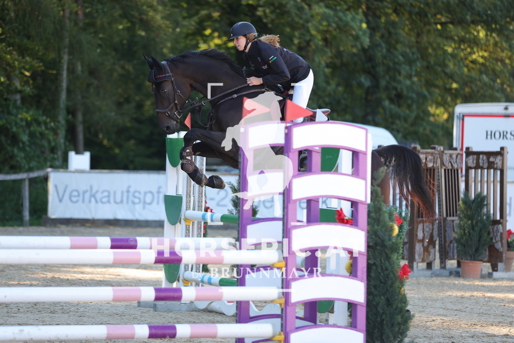 0P6A0287 | Willkommen bei Brunnmayr - Design & Fotografie – Ihrem Spezialisten für Reitturniere und Pferdeveranstaltungen in Oberösterreich, Salzburg und Bayern! Seit über 17 Jahren sind wir leidenschaftlich dabei.