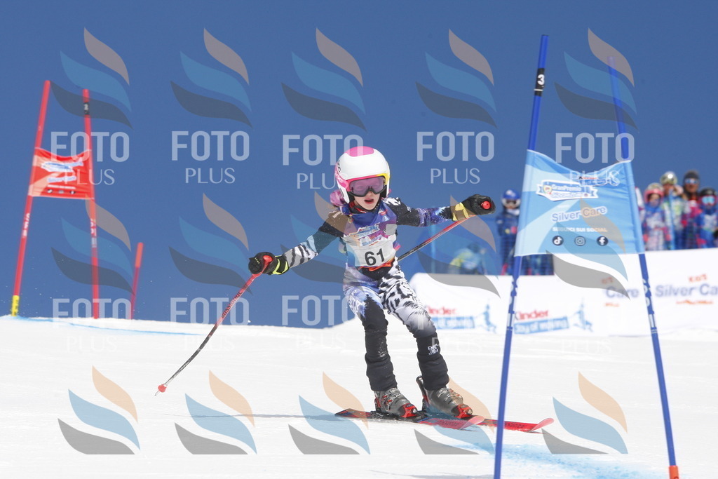 _W1G0900 | holidayphoto