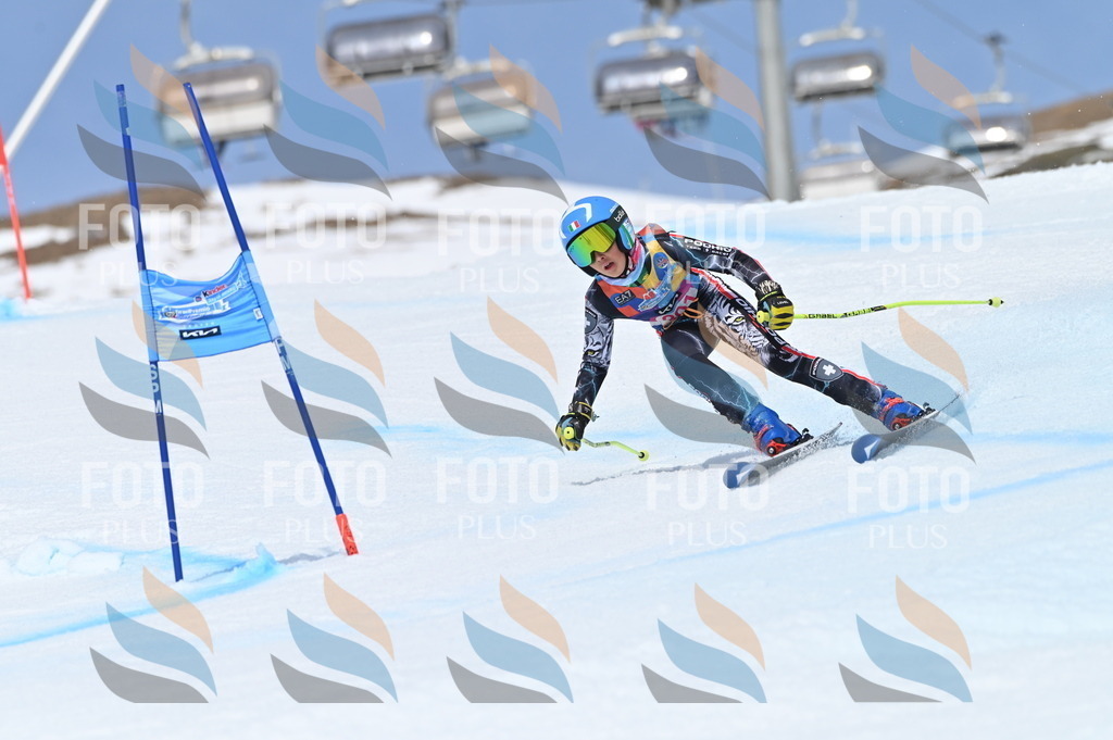 BGV_2796 | holidayphoto