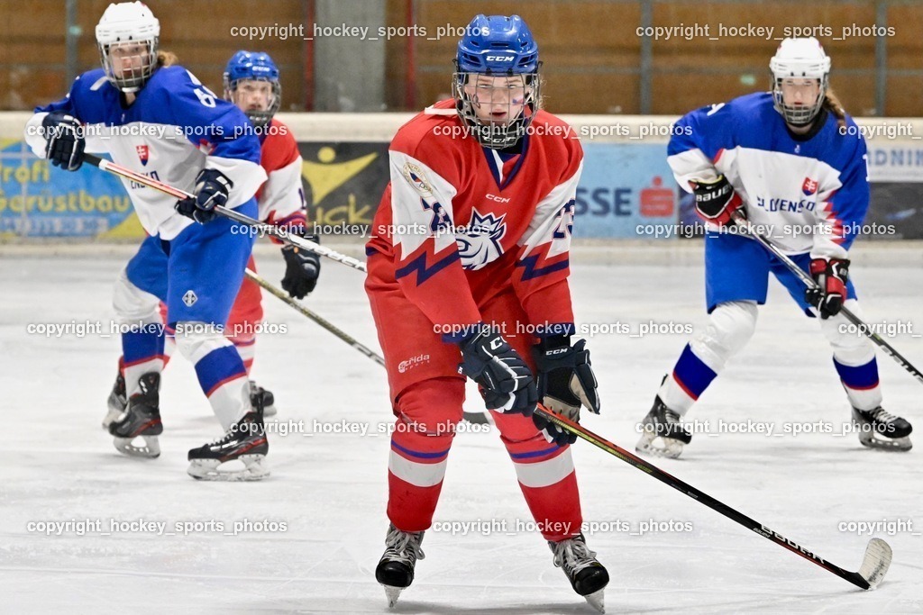 Z9B_7506 | hockey sports photos, Pressefotos, Sportfotos, hockey247, win 2day icehockeyleague, Handball Austria, Floorball Austria, ÖVV, Kärntner Eishockeyverband, KEHV, KFV, Kärntner Fussballverband, Österreichischer Volleyballverband, Alps Hockey League, ÖFB, 