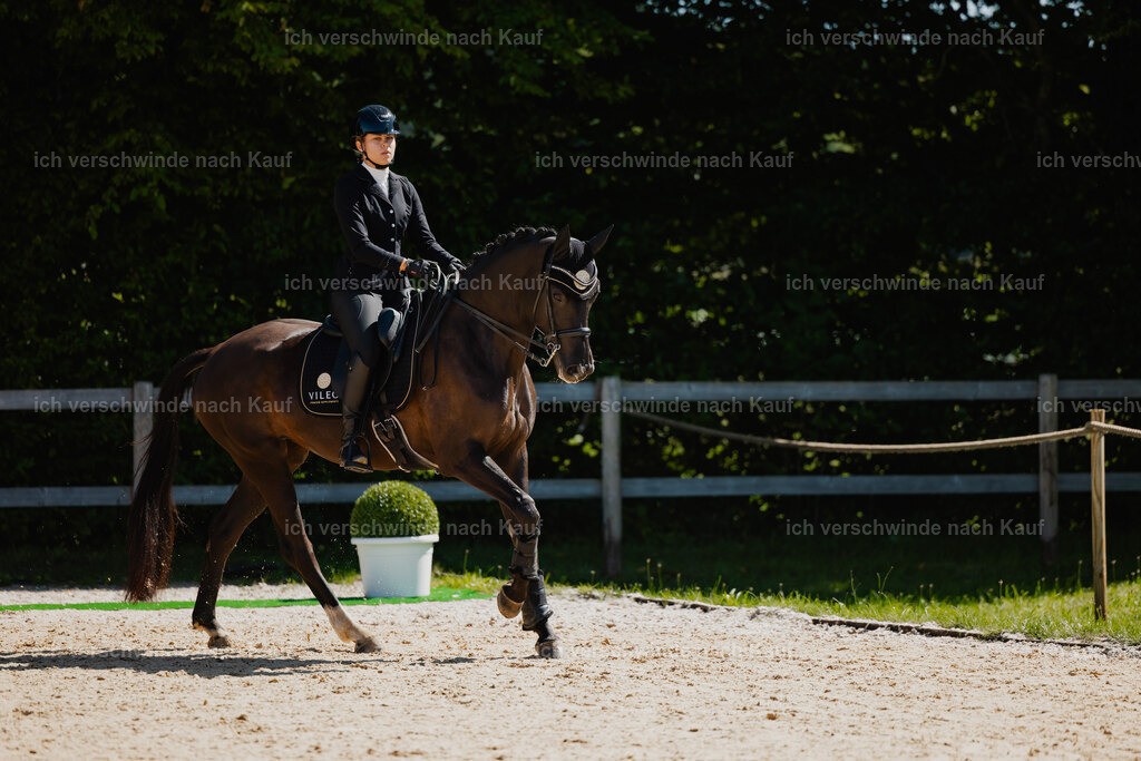 Leonie24_FHC2025-37 | working equitationturnier fotograf videograf stoibphotography marixx film working equitation deutschland reitsport turnierfotografie eventfotografie equestrian events