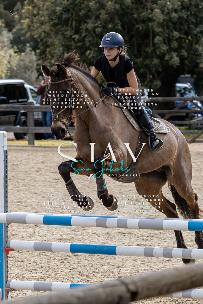 IMG_3969 | s-jay-photography - Realized with Pictrs.com