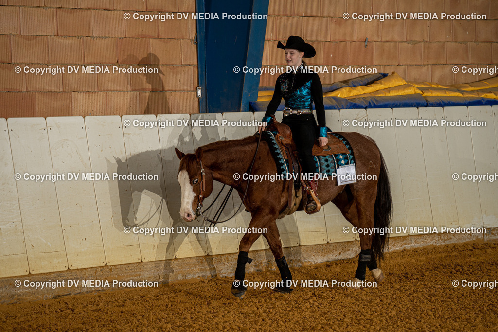 MIT00909 | dv-media-shop - Realisiert mit Pictrs.com