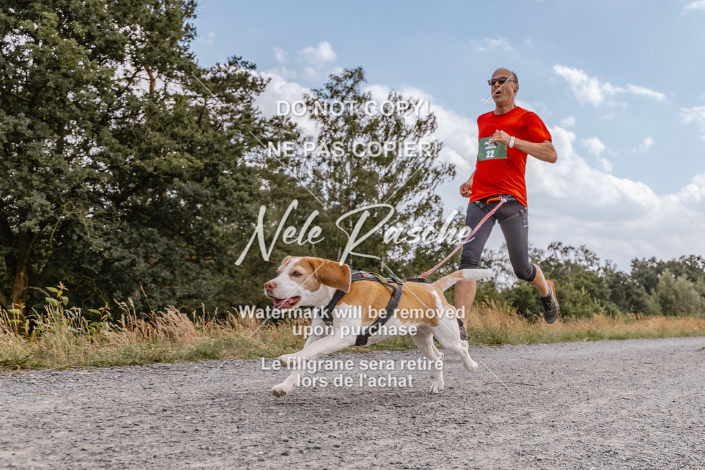 BUHU_CC_204 | nelerasche