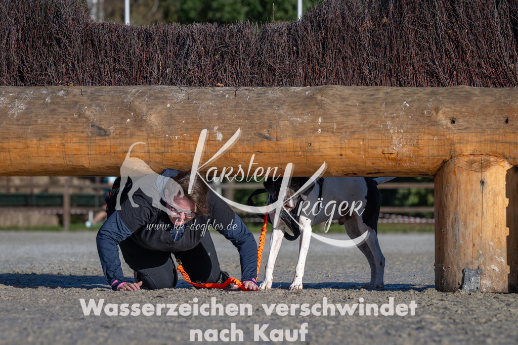 1025-_ZZ91060 | kk-dogfotos