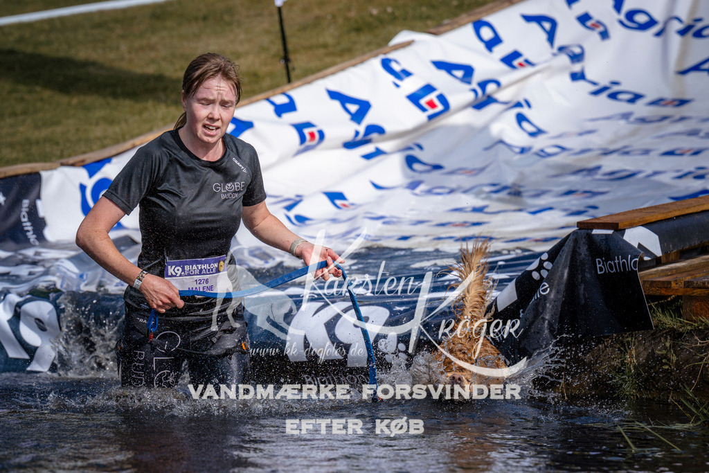 _ZZ978940749 | kk-dogfotos