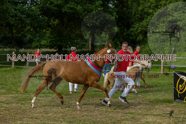 DR 3 (669 von 681) | mandyhollmannphotographie