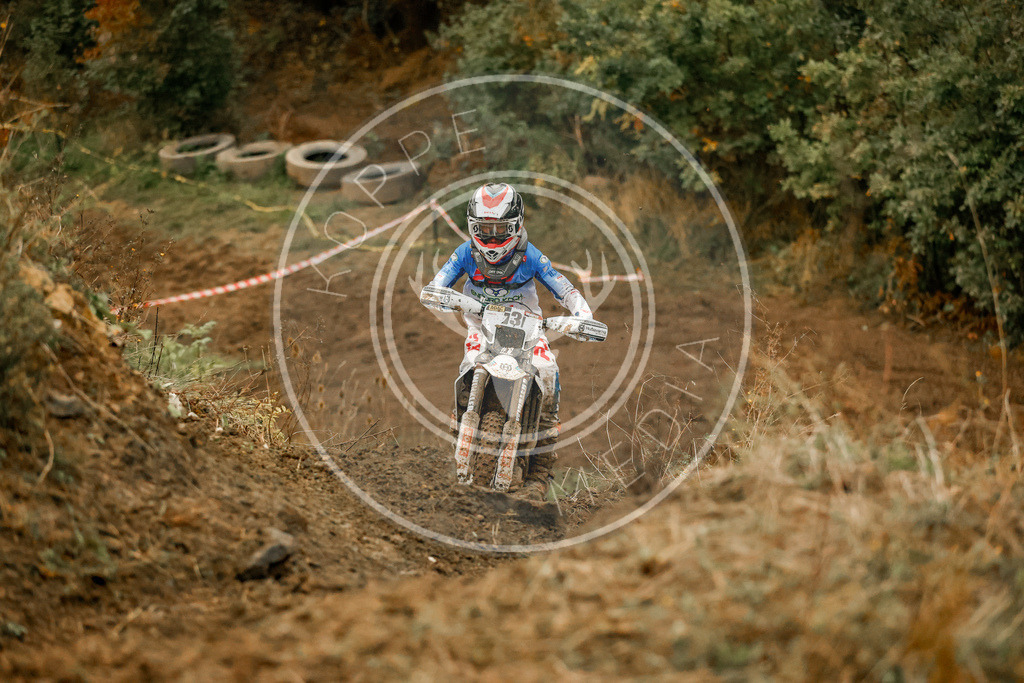 IGESchwabLauf3-503 | koppe-media