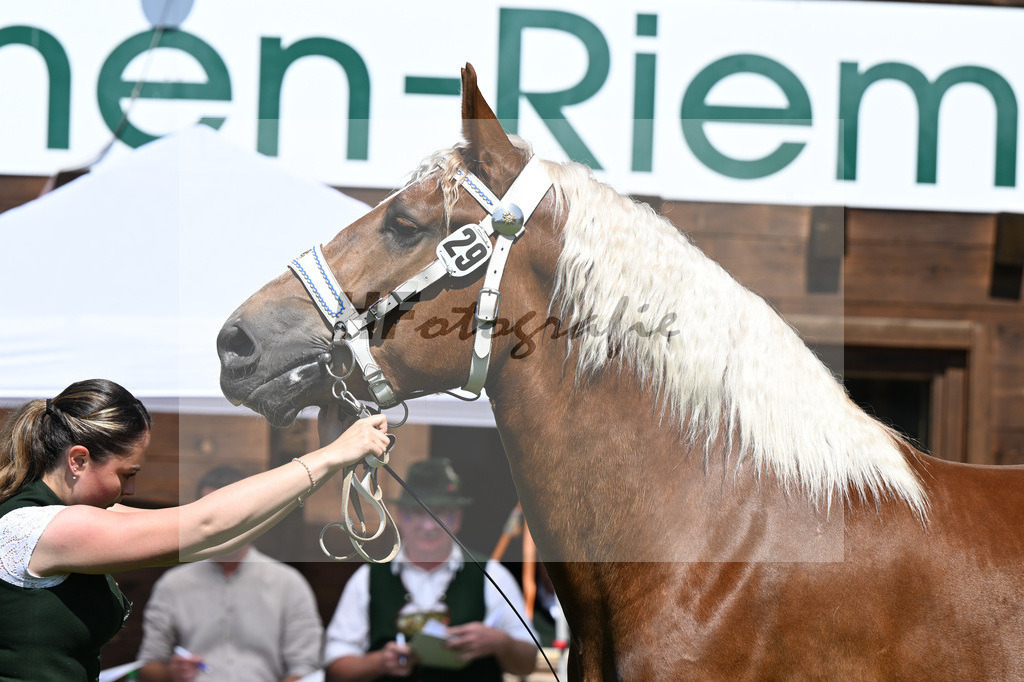 Kat-Nr. 29 Herzogin v. Sangria_Vrech_18250531 | hf-fotografie - Realizzato con Pictrs.com
