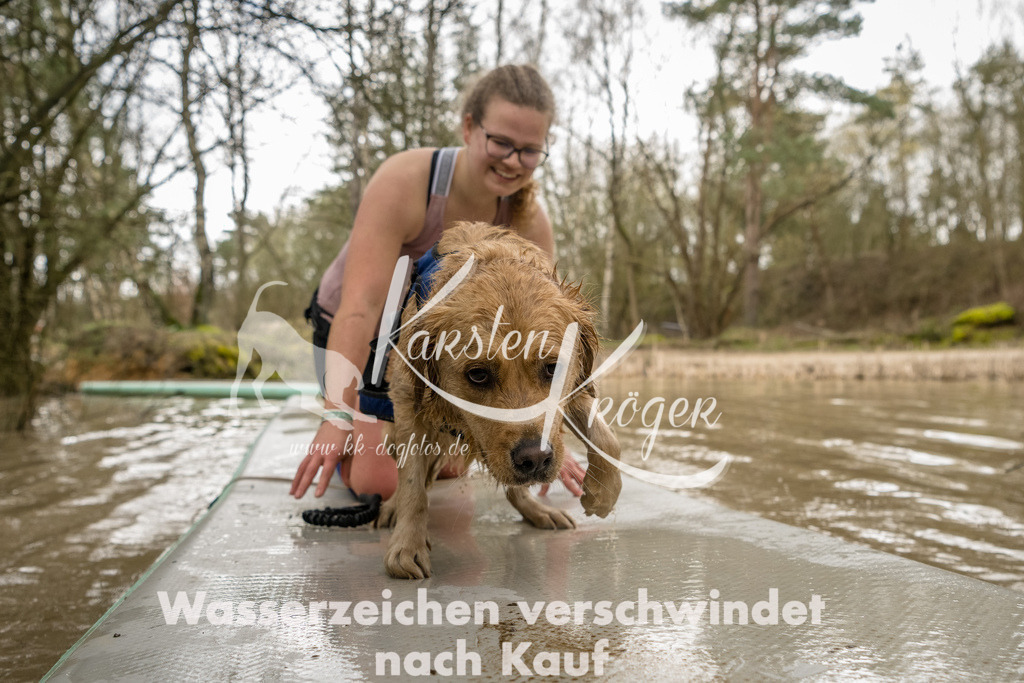 1021_ZZ93032-Bearbeitet | kk-dogfotos