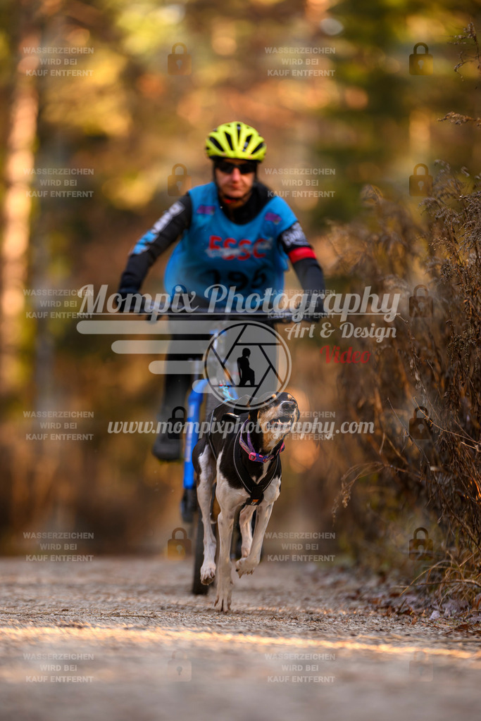 MompixPhotography_DM_AKDM_SO_2025_Bike-113 | PayLife