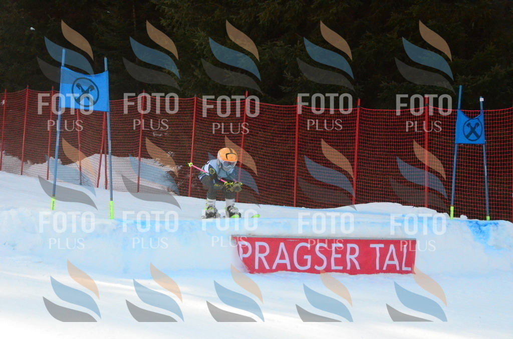 C7916 | holidayphoto