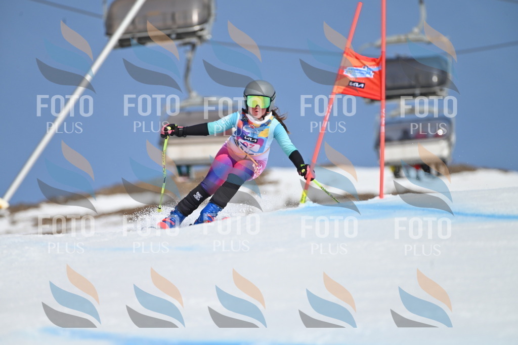 BGV_9386 | holidayphoto