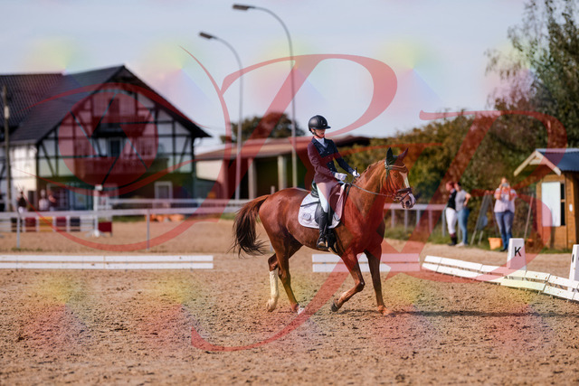 2026_10_03_Siefer-Hof_133157_Z81_87590900 | Professionelle Reitsport-, Turnier- und Eventfotografie von Robert Broda. Galerien mit ausgewählten und bearbeiteten Bildern direkt online ansehen und bestellen.