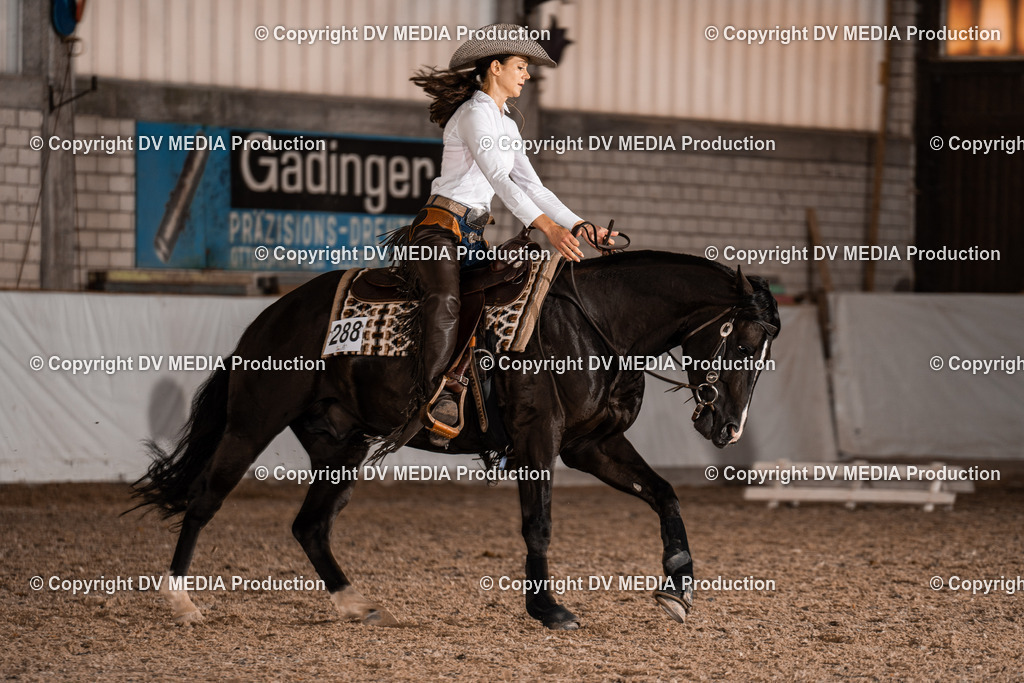 ZH300236 | dv-media-shop - Realisiert mit Pictrs.com