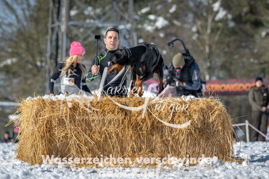 1122_ZZ91730-3 | kk-dogfotos