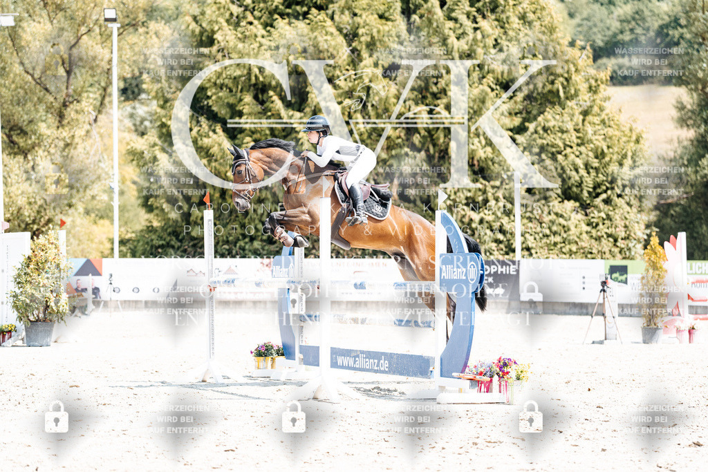 CK901003 | Turnierfotografie Pferdefotografie Trier Rheinland-Pfalz Pferdesport Reitsport Tierfotografie Sportfotografie Pferdevideo Pferdevideografie Equestrianvideography equestrianphotography  - Realisiert mit Pictrs.com