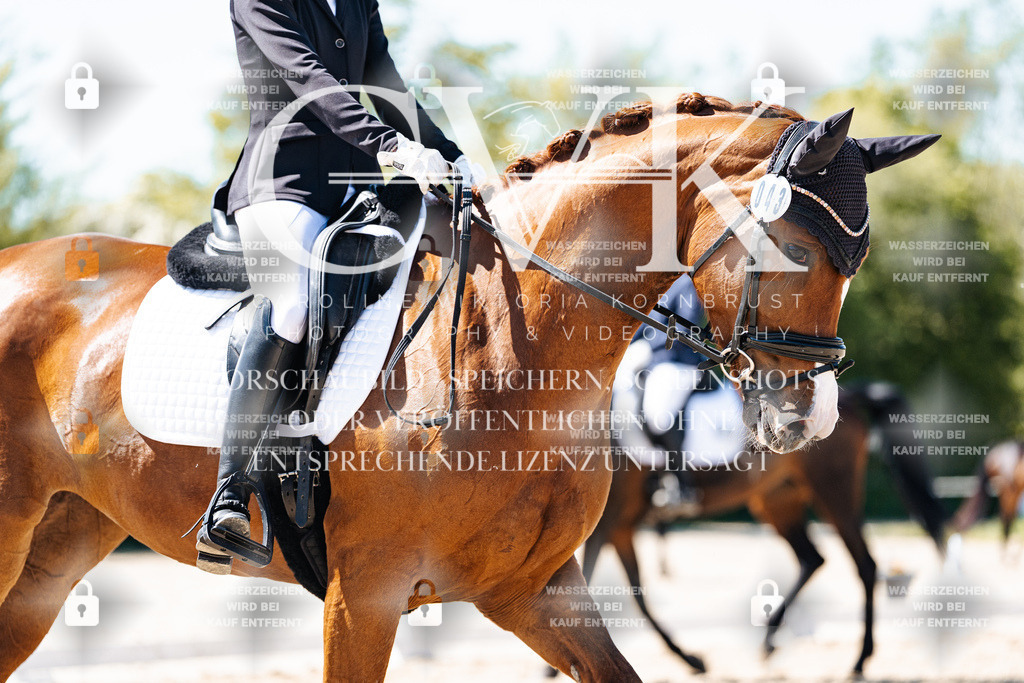 CK905381 | Turnierfotografie Pferdefotografie Trier Rheinland-Pfalz Pferdesport Reitsport Tierfotografie Sportfotografie Pferdevideo Pferdevideografie Equestrianvideography equestrianphotography  - Realisiert mit Pictrs.com