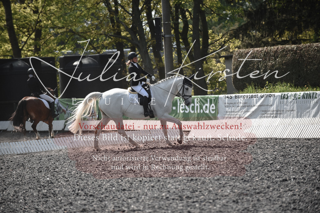 20230513_JK-Röhrsdorf-14-393 | Pferde- und Turnierfotografie in Westsachsen. Pferdeportraits, Auftragszeichnungen und intuitive Kunst.