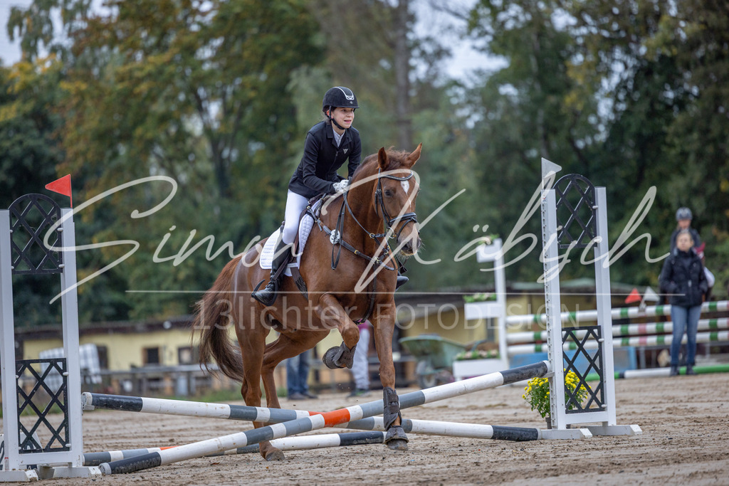 20251012-_3LI2559 | Tierfotografie Pferde, Hunde, Katzen, Haustiere.
Turnierfotografie Reitturniere, Reiten, Springreiten, Dressur in Hanau, dem Main-Kinzig-Kreis und dem Rhein-Main- Gebiet um Frankfurt