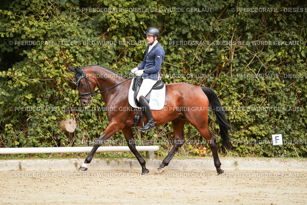 DSC09111 | Pferdegrafie