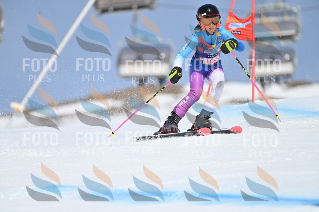 BGV_0312 | holidayphoto