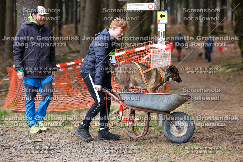Dog Paparazzi - VCC26-709 | Dog Paparazzi Jeanette Grottendiek Fotografie & Videografie - Realisiert mit Pictrs.com