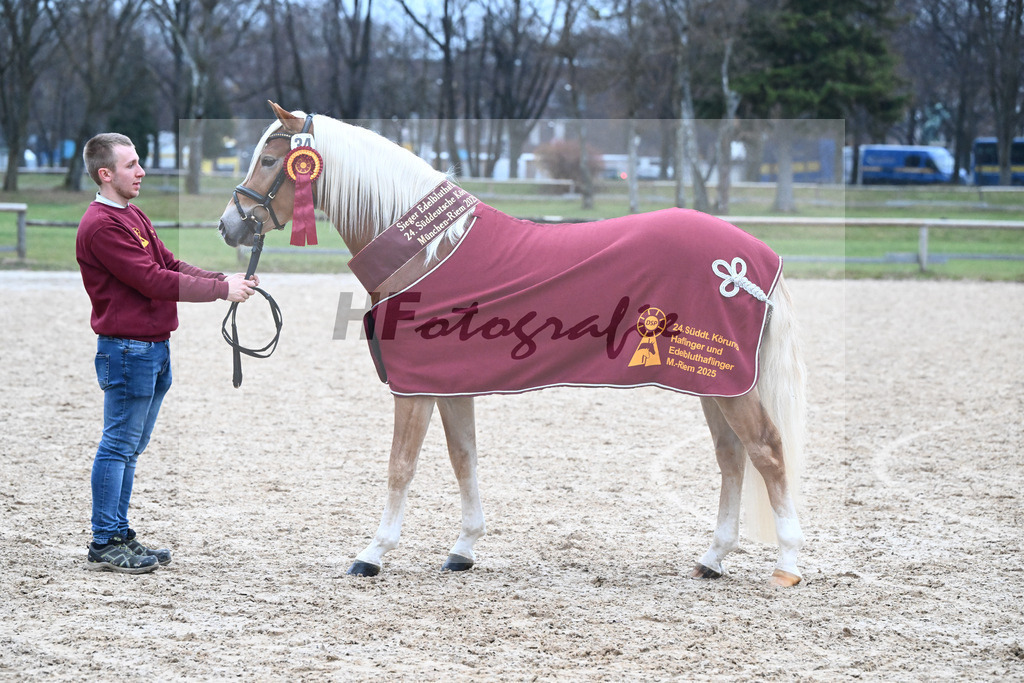 Kat-Nr. 34 nn v. Starino I_Grimminger_48251949 | hf-fotografie - Realisiert mit Pictrs.com