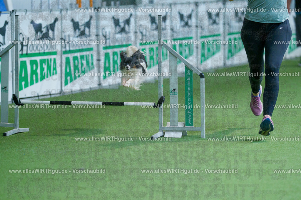 @allesWIRTHgut_Tierfotografie - www.allesWIRTHgut.de - 2604251449-7R505600 | Professionelle Tierfotografie in Mönchengladbach von Daniel Wirth (allesWIRTHgut). Liebevolle & natürliche Bilder von Hunden & Katzen für unvergessliche Erinnerungen.