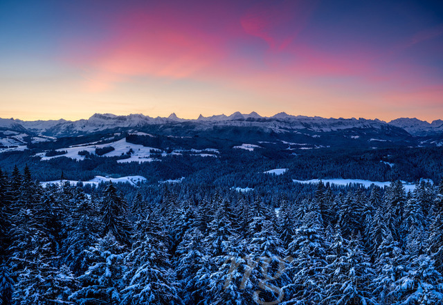 dawn in Emmental with Bernese Alps like Schreckhorn, Finsteraarhorn and Eiger, Mönch and Jungfrau in the distance | Die ideale Geschenkidee für Naturliebhaber. Naturbilder von Marcel Gross Photography für ihr Zuhause in den verschiedensten Formaten und Materialien. - Realizado com Pictrs.com
