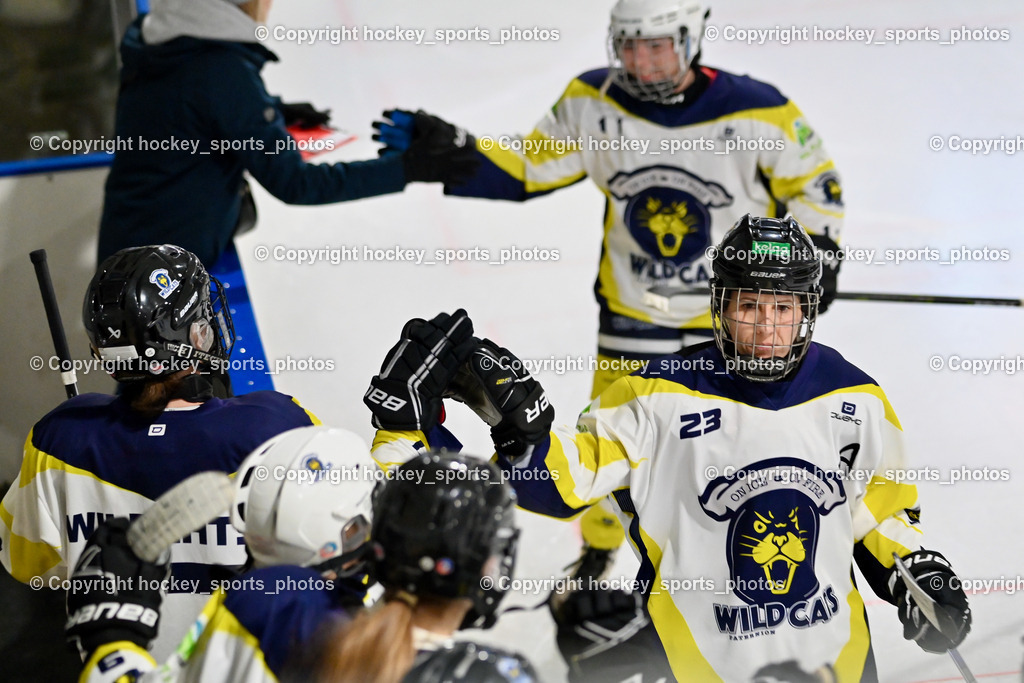 LADY HAWKS vs. WILDCATS PATERNION | #23 Stuppnig Iris WILDCATS PATERNION, LADY HAWKS vs. WILDCATS PATERNION, LADY HAWKS vs. WILDCATS PATERNION am 12.03.2025 in Steindorf (Ossiachersee Halle), Austria, (Photo by Bernd Stefan)