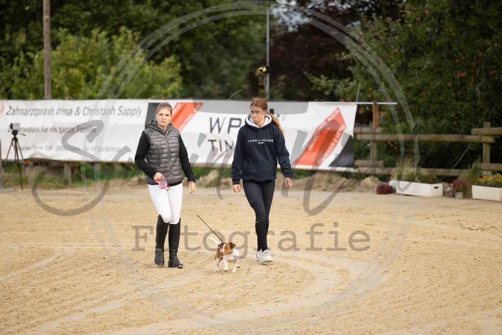 994A7162 | sabrinanicolaifotografie - Realisiert mit Pictrs.com