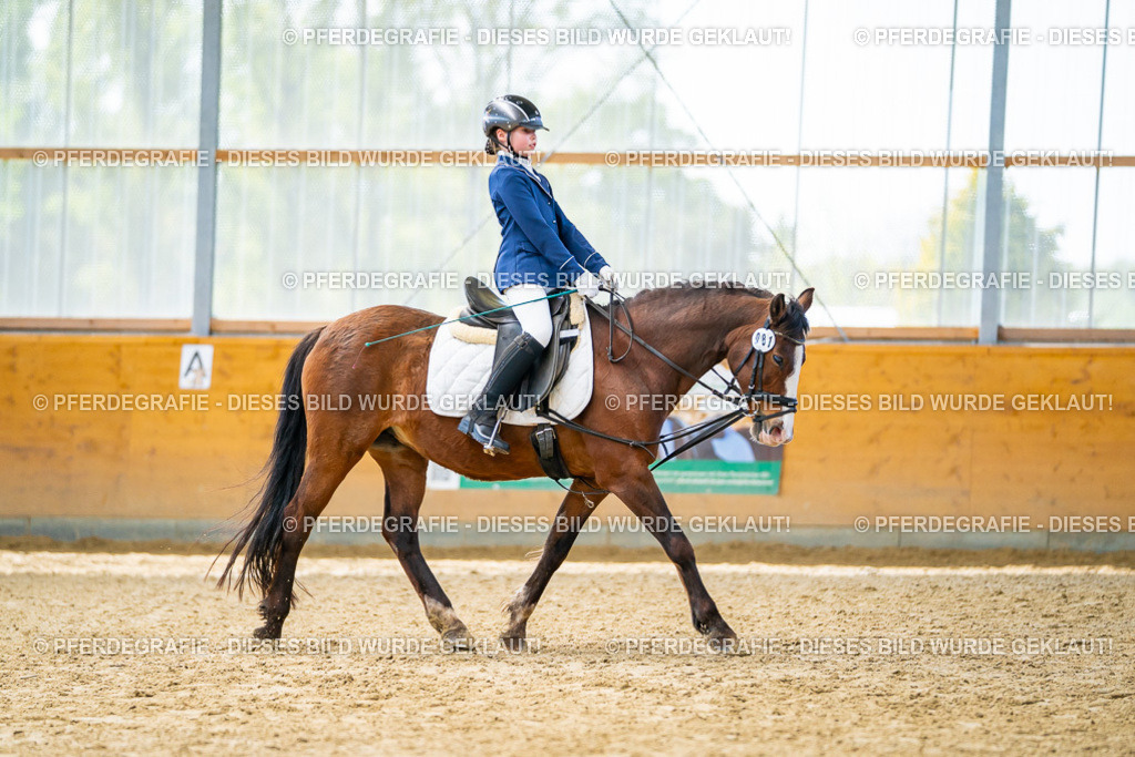 DSC01007 | Pferdegrafie