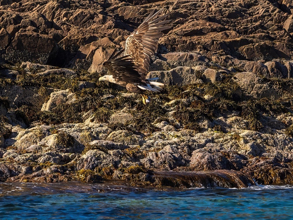 P1001646-LR-topaz-denoise-enhance | Natur im Moment - Realisiert mit Pictrs.com